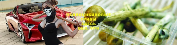 стаф Арсеньев