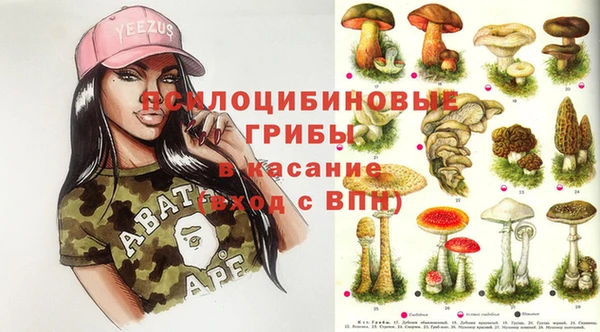 стаф Арсеньев
