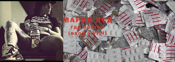 стаф Арсеньев
