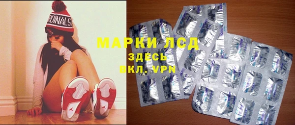 стаф Арсеньев